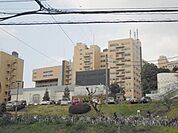帝京大学 1200m