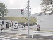 私立中央大学 1599m