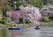 千葉公園 1208m