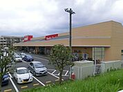 せんどう 446m