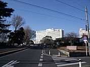 千葉大学病院 398m