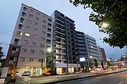 ベルグレード王子DUE 802