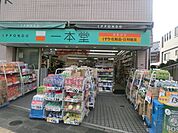 ドラッグストア一本堂新板橋店 徒歩3分。ドラックストア 170m