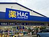 周辺：ハックドラッグ辻堂店 徒歩12分。ドラックストア 910m