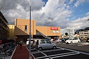 ヤオコー藤沢片瀬店 1449m