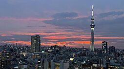 プラウドタワー亀戸クロスゲートタワー 1LDKの間取図画像