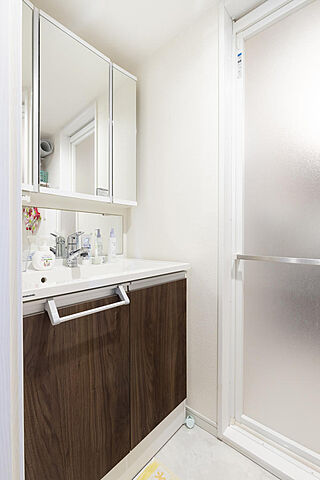 洗面 ロイヤルコーポ平安 3階/-