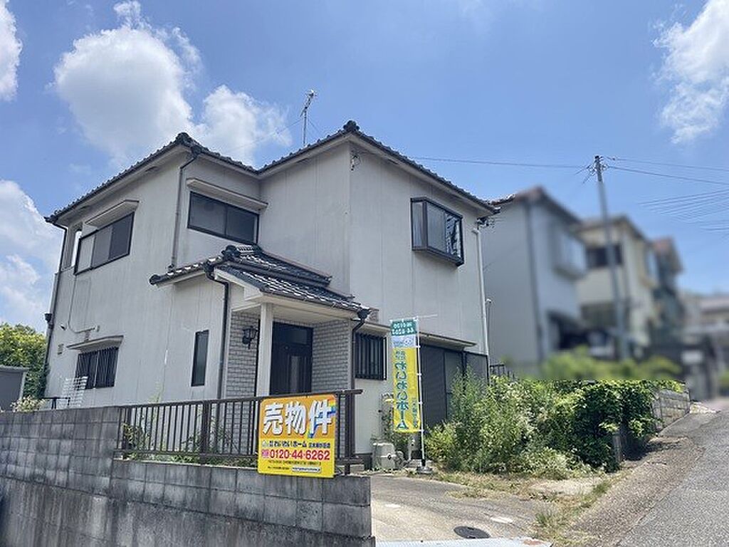 Image 19
