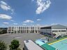 その他：横浜市立笹野台小学校