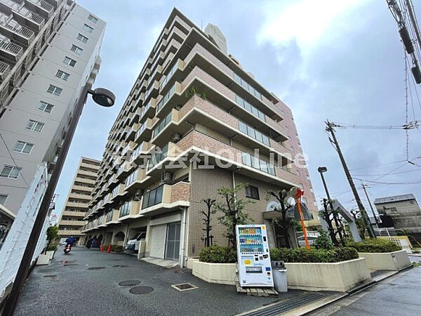 友井グレイス ｜大阪府東大阪市友井5丁目(賃貸マンション2LDK・5階・53.80㎡)の写真 その1