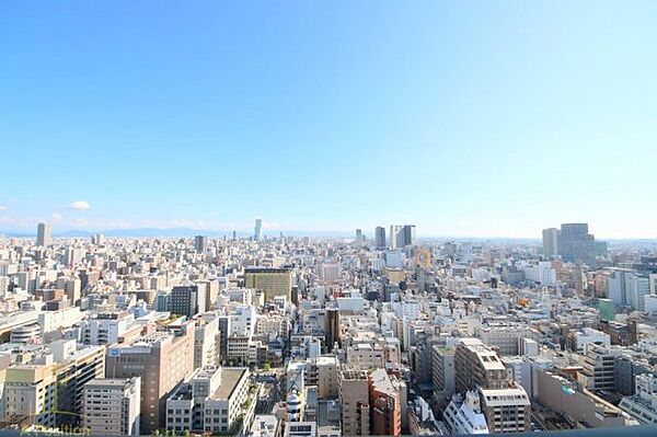 アルグラッドザ・タワー心斎橋 ｜大阪府大阪市中央区東心斎橋1丁目(賃貸マンション1LDK・28階・63.76㎡)の写真 その25