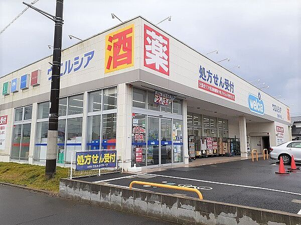 画像17:その他「ウエルシア鹿嶋平井店まで1200m」