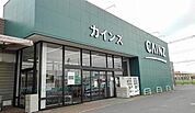 その他「カインズまで2000m」