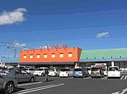 その他「カスミ波崎店まで313m」