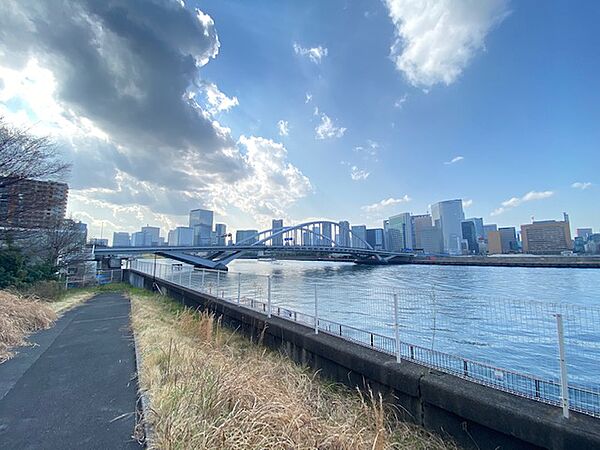 グリーンホームズI 704｜東京都中央区勝どき３丁目(賃貸マンション3LDK・7階・93.14㎡)の写真 その14