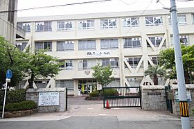 広島県広島市西区東観音町（賃貸マンション2LDK・10階・58.00㎡） その17