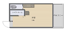 広島電鉄2系統 小網町駅 徒歩1分の賃貸マンション 4階ワンルームの間取り