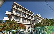 明石市立朝霧小学校 499m