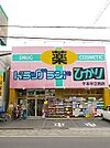 ドラッグランドひかり 千本中立売店（350m）