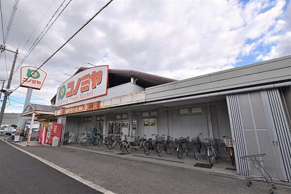 画像28:【スーパー】スーパーマーケット コノミヤ 浜寺石津店まで341ｍ