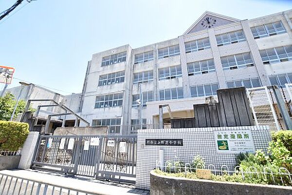 【小学校】堺市立上野芝小学校まで214ｍ