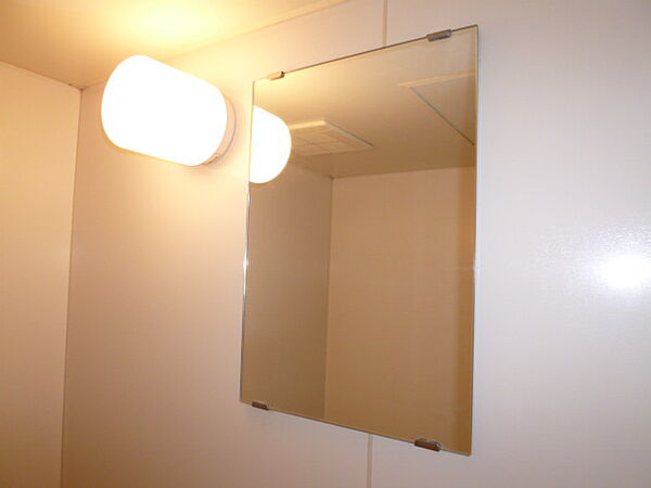 画像20:浴室鏡