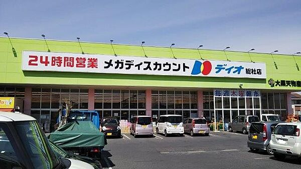 画像21:【スーパー】ディオ総社店まで834ｍ