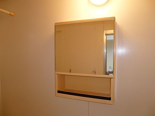 画像20:浴室鏡収納