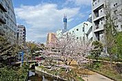 大横川親水公園 950m