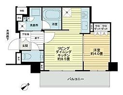 サンクタス文京大塚ボゥテラス 1LDKの間取図画像