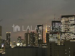 東京タワーを望む眺望