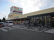 100円ショップキャンドゥフードガーデン白鍬店（10m）
