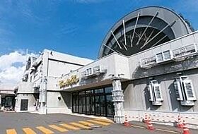 北海道札幌市南区澄川四条5丁目（賃貸アパート1DK・2階・27.80㎡） その21