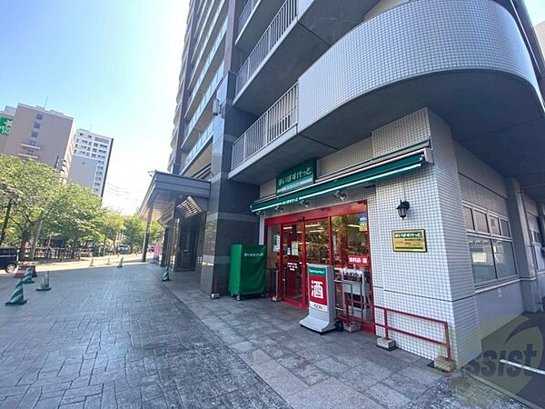 北海道札幌市中央区南八条西6丁目(賃貸マンション1LDK・4階・35.63㎡)の写真 その30