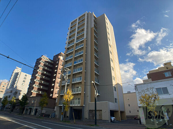北海道札幌市中央区南九条西12丁目(賃貸マンション2LDK・4階・45.56㎡)の写真 その1