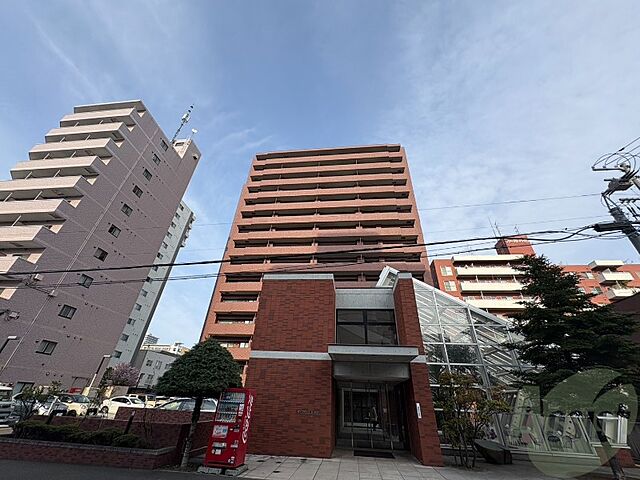6 / 24