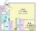 ピオネロ新道東1階5.3万円