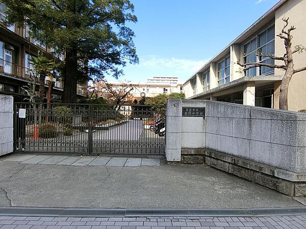 画像21:茨木市立養精中学校 徒歩99分。 7870m
