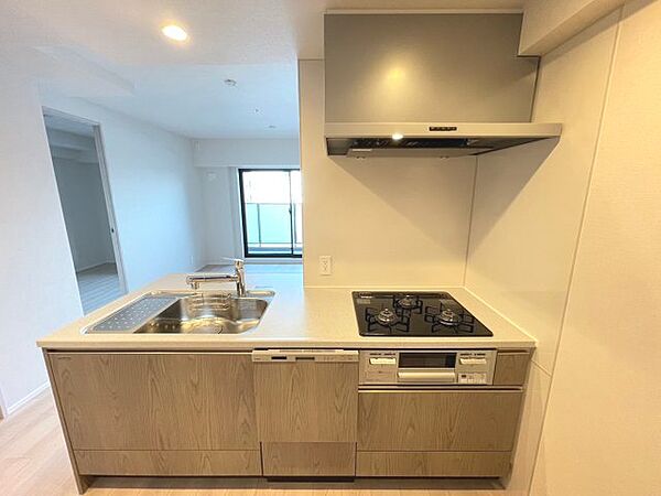 ワコーレ池田プレジデンス ｜大阪府池田市満寿美町(賃貸マンション2LDK・4階・53.02㎡)の写真 その11