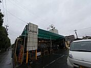 スーパーヤマダイ アオヤマ店（568m）
