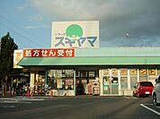 ドラッグスギヤマ 神の倉店（544m）