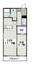 カーサ天神 1LDKの間取図画像