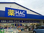 ハックドラッグ辻堂店 徒歩17分。ドラックストア 1290m