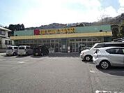 Fit　Care　MART鎌倉今泉店 1332m