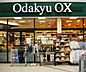 周辺：OdakyuOX読売ランド店 667m