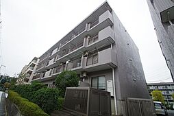 7 / 19