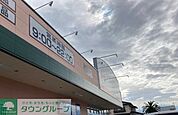 クスリのアオキ新道店 徒歩6分。 470m