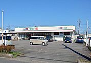 ドラッグセイムス 羽生店 徒歩13分。 990m