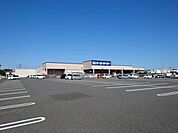 D2ケーヨーデイツー 羽生駅前店 徒歩15分。 1160m