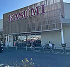 カスミフードスクエアフレスポ桶川坂田店 徒歩7分。 530m